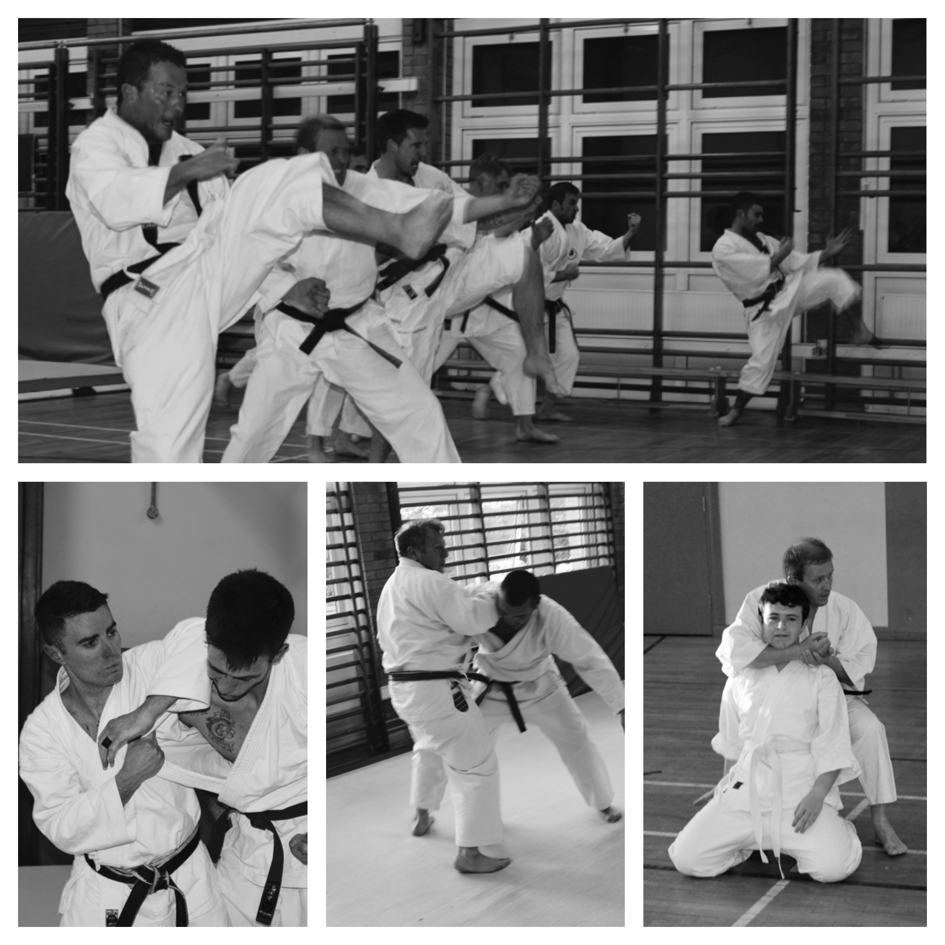 Shotokan Training with different techniques including Elbow Strikes and Front Kicks